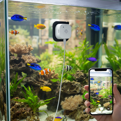 Smart Home Camera
