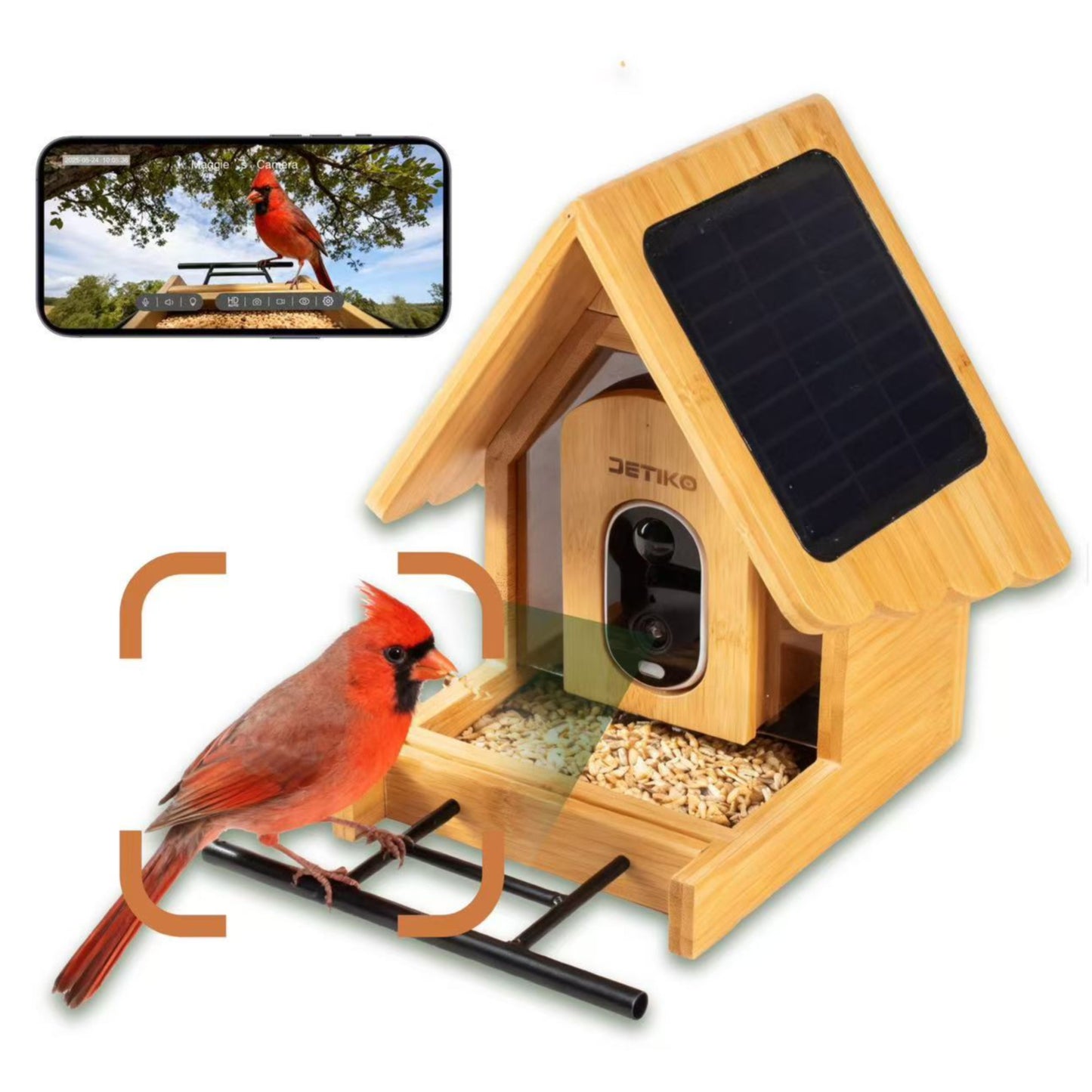 Smart Bird Feeder
