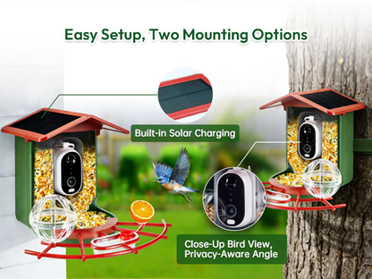 Smart Bird feeder with camera