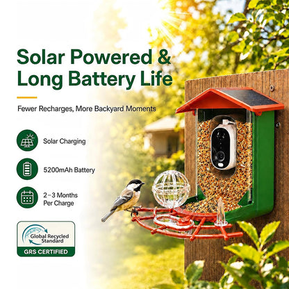 Smart Bird Feeder with Camera