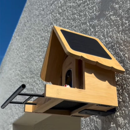 Smart Bird Feeder