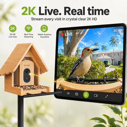 Smart Bird Feeder