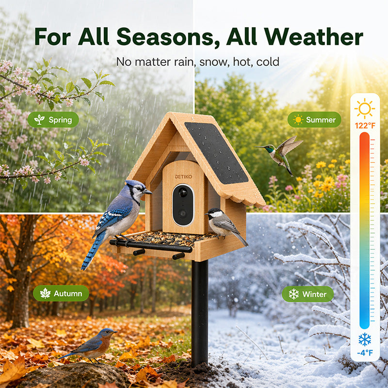 Smart Bird Feeder