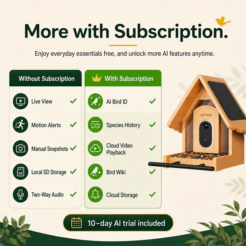 Smart Bird Feeder