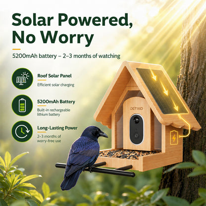 Smart Bird Feeder