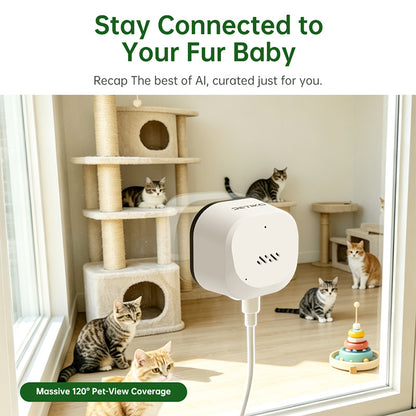 Indoor Camera